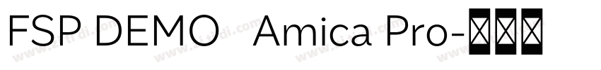 FSP DEMO   Amica Pro字体转换